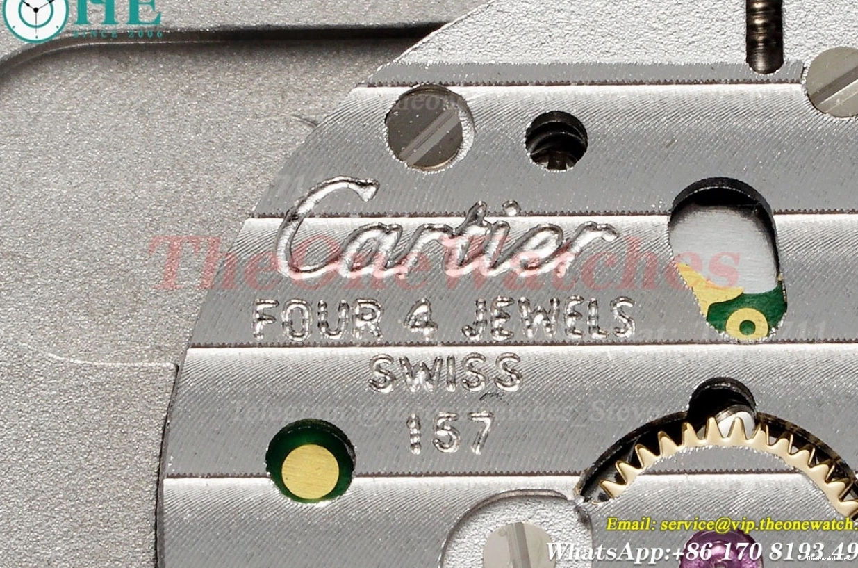 Dumont Dial Silver Brown Santos Quartz LE RG AF Dia 0313